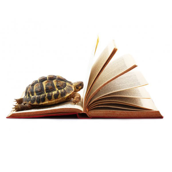 چند راهکار موثر برای غلبه بر کندخوانی و افزایش سرعت مطالعه